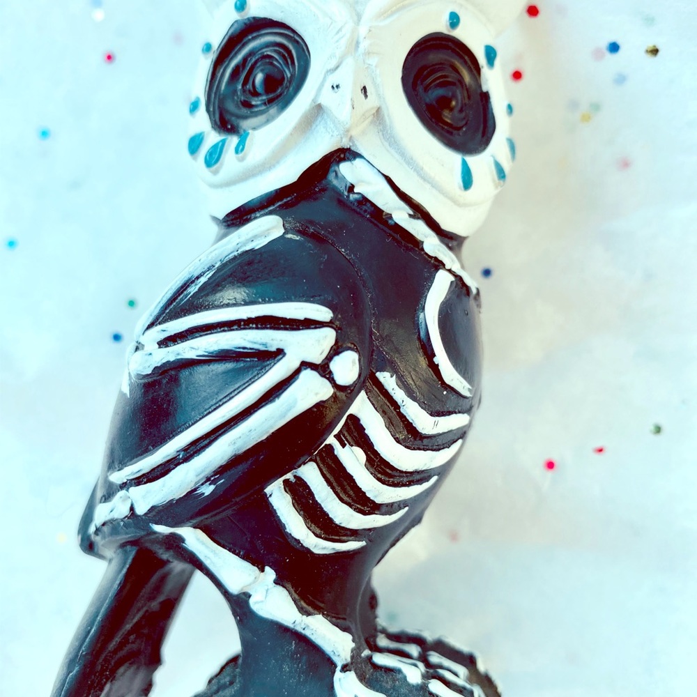 Day of the Dead Skull Style Owl
